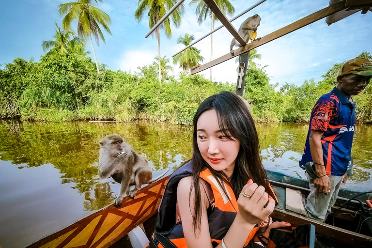 Kota Kinabalu: Bongawan River Cruise, Fireflies with Dinner Shared Cruise and Entry Ticket with Pickup