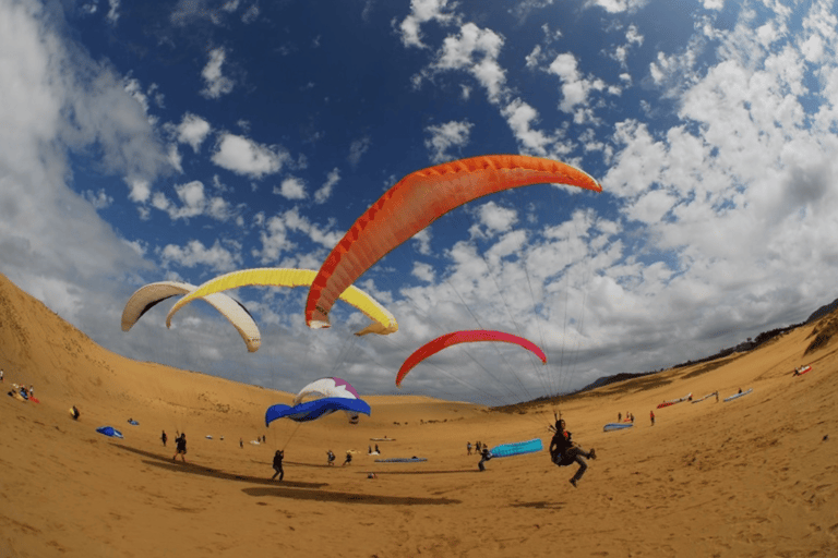 Tottori: Private Tour to Sand Dunes, Museum & Hakuto Coast