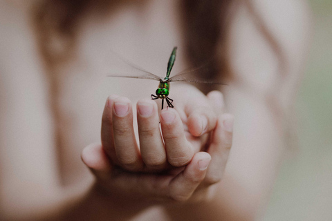 Gdansk, Gdynia, Sopot: Private Photoshoot in Tricity