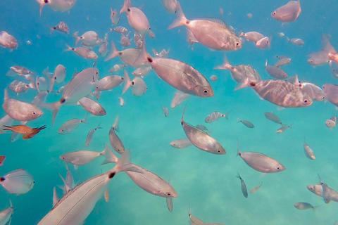 Can Picafort: 2h Private Boat Tour with Swim-Snorkel & Caves Can Picafort: Private Boat Tour 2 h - Höhlen/ Beach