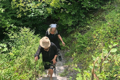From Thessaloniki: Mount Olympus Private Hike