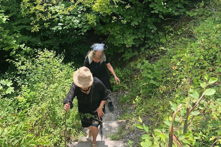 From Thessaloniki: Mount Olympus Private Hike