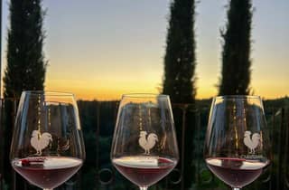 Chianti: Wein- und Olivenölverkostung auf dem Weingut Casafrassi