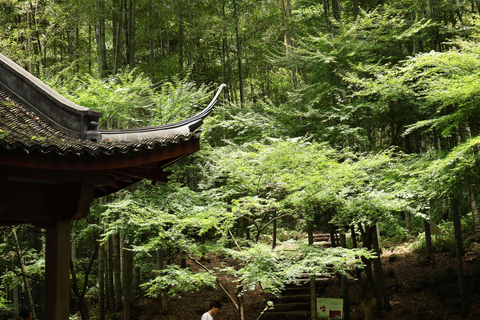 Hangzhou Half-Day: Pagoda, Bamboo Grove, and Old Street Tour