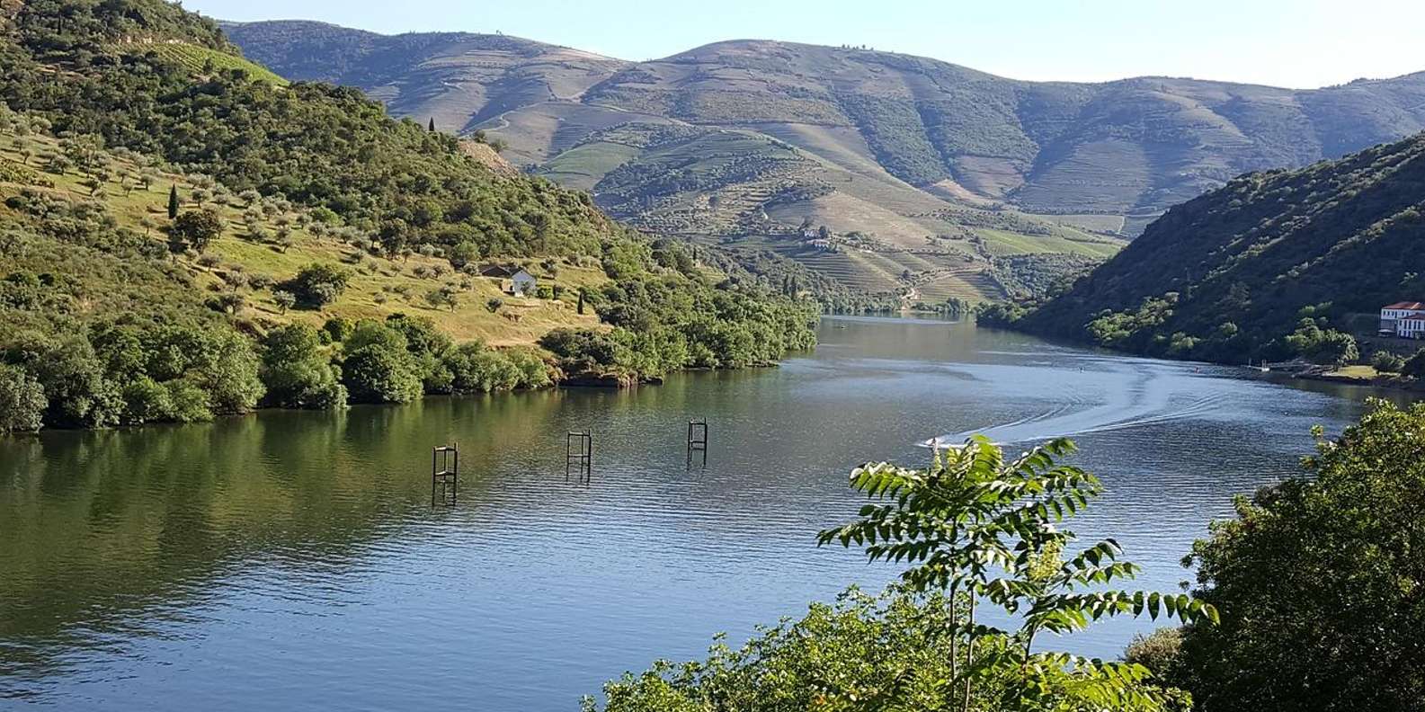 Porto: Douro Valley Tour with Lunch, Boat Cruise & Tastings — gallery image 13