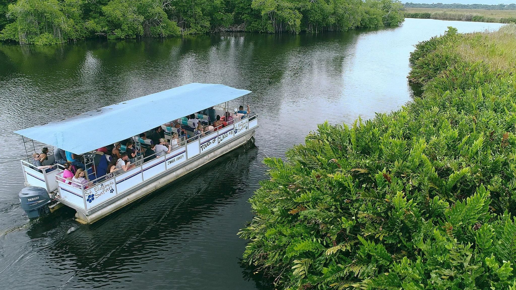 Ab Montego Bay: Black River-Safari-Tour und YS-Falls-Tour