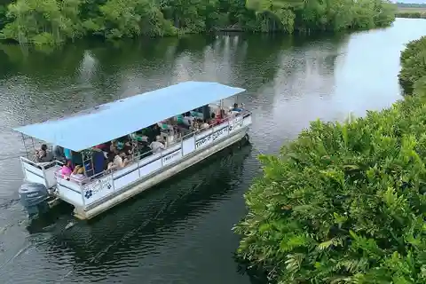 Jamaica: Black River Safari Tour and YS Falls Day Trip
