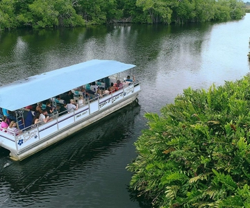 Jamaica: Tour guiado pelo Black River Safari e tour pelas Cataratas YS