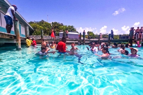 Lucht+Tour Deal vanuit Nassau: Adembenemende Zwemtocht VarkensVlucht+Tourpakket Vanuit Nassau: Exuma Zwemmende Varkens Tour