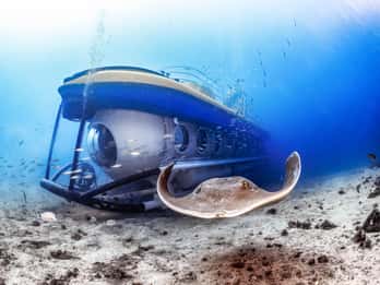 Puerto de la Cruz: Submarine Trip and Beach Stop in Tenerife