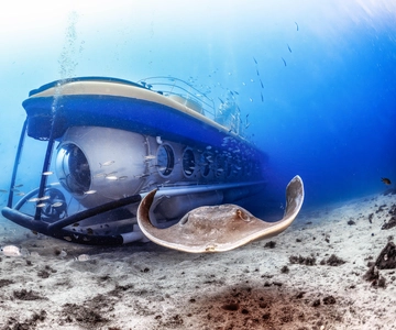 Puerto de la Cruz: Submarine Trip and Beach Stop in Tenerife
