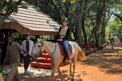 Au départ de Johannesburg : Safari à cheval