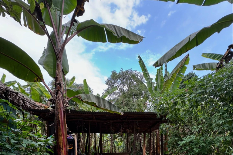 卢旺达传统与现代饮品之旅