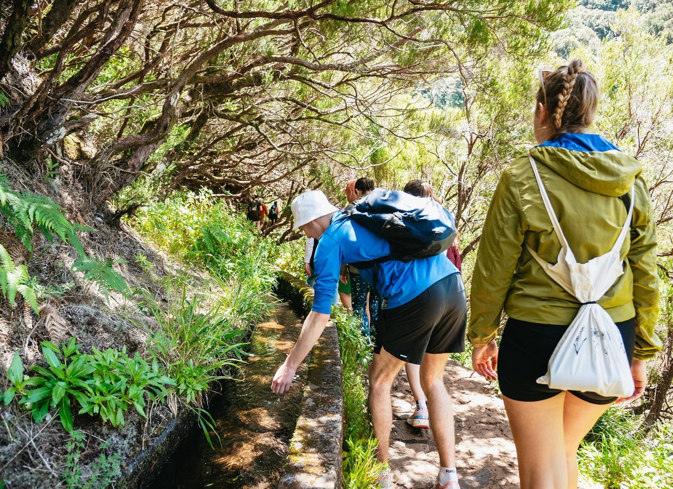 Madeira: Nyd en guidet gåtur i Levada i Rabaçal-dalen