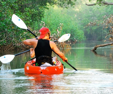 Uvita - Dominical: Private Kayak Tour - Mangroves of Terraba