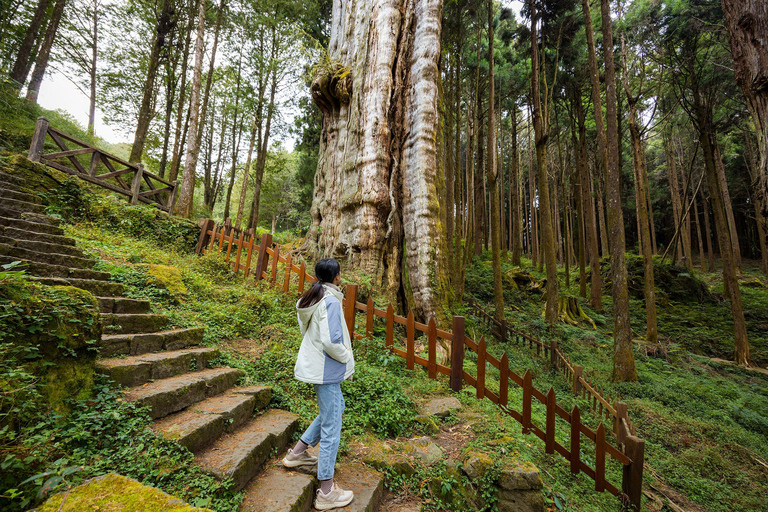 From Taipei: Alishan 2 Days Private Tour