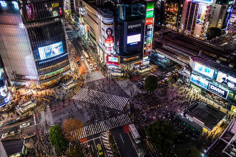 Tokyo Private Customizable City Highlights Guided Tour