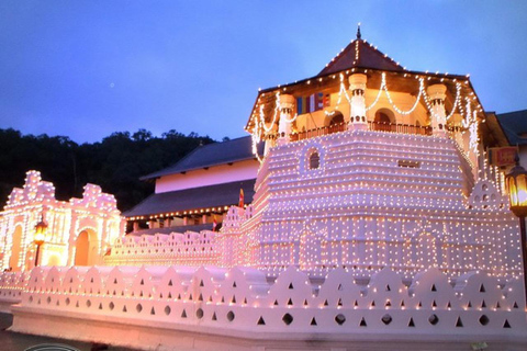 Kandy Night Tuk-Tuk Experience with a Local Friend