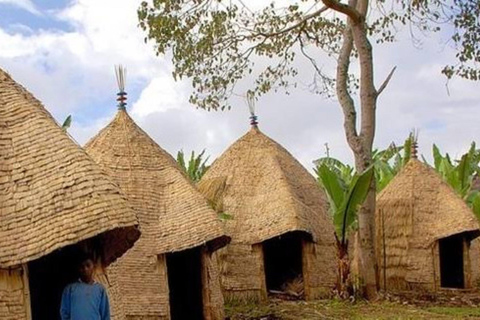 Nairobi: Bomas of Kenya Cultural Day Tour with Hotel Pickup