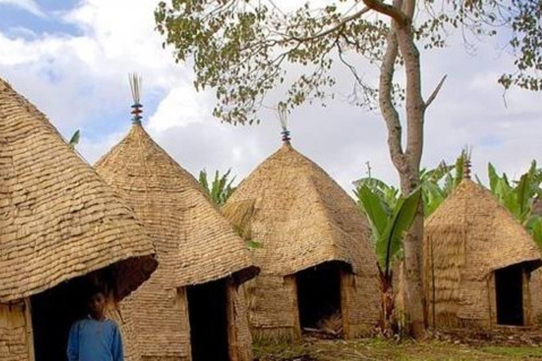 Nairobi: Bomas of Kenya Cultural Day Tour with Hotel Pickup