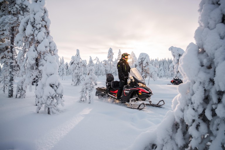 Rovaniemi: Family snowmobile safari with heated sleigh