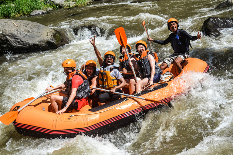 Bali: Avventura di rafting guidato sul fiume Ayung con pranzoRafting sul fiume Ayung con prelievo dall&#039;hotel