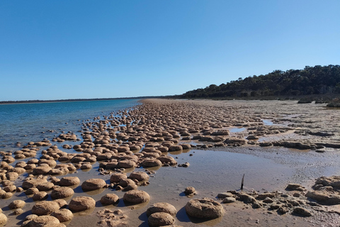 Clifton Thrombolites, Busselton Jetty & Canal Rocks Day Tour