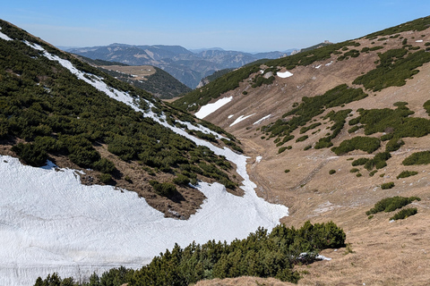 Vienna: Scenic Alpine Hiking Day Trip to Rax with Guide Vienna: Rax Mountain Hiking Tour with Guide and Transfer
