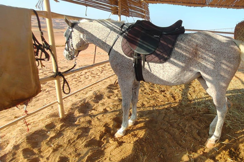 Muscat: Desert Safari, Quadbike, Horse Ride & Sunset Tour
