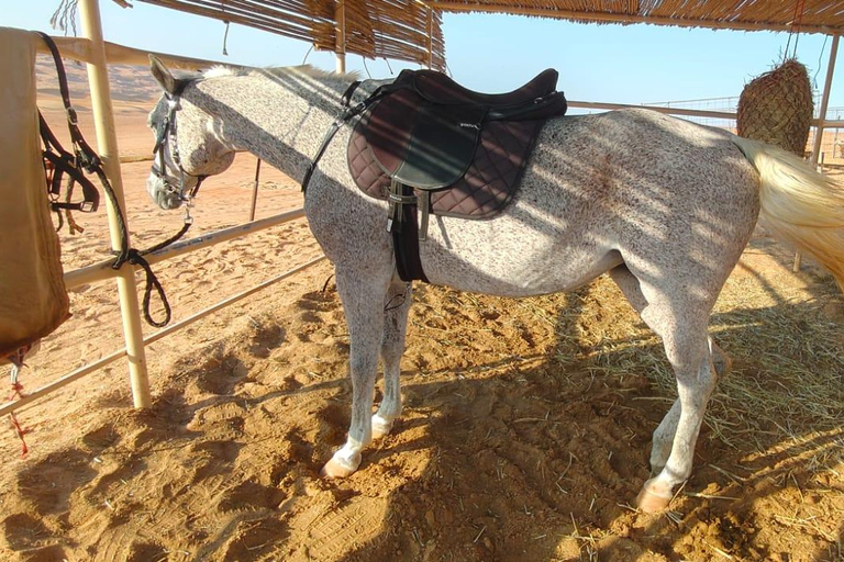 Muscat: Desert Safari, Quadbike, Horse Ride & Sunset Tour