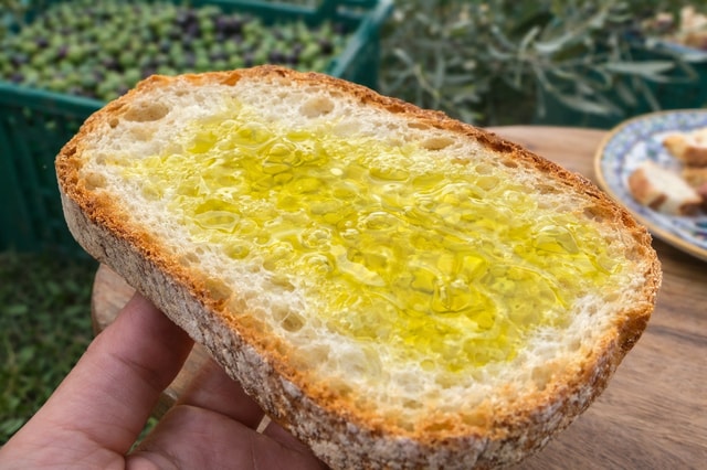 Farming experience with an extra virgin olive oil producer in Arezzo