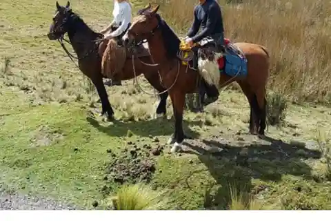 Quito: passeggiata a cavallo nel Parco Nazionale Cotopaxi con pranzo