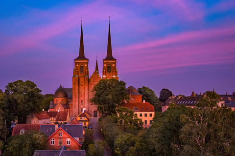 Copenhagen: Viking Heritage Trail Private Tour
