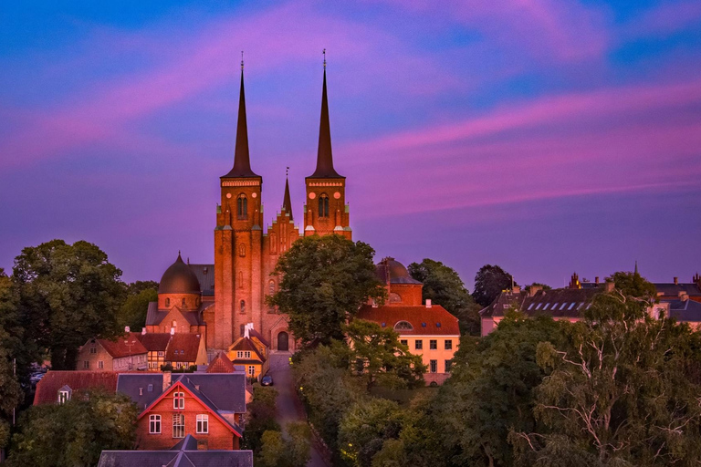 Copenhagen: Viking Heritage Trail Private Tour