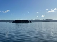 Commentated Harbour Tour - Housity