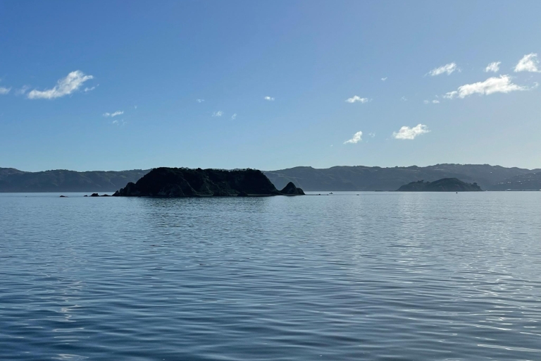 Wellington: Harbour Explorer Commentated Harbour Tour