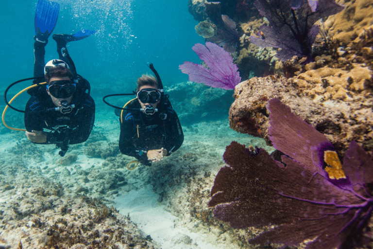 Marmaris: Scuba Diving Experience