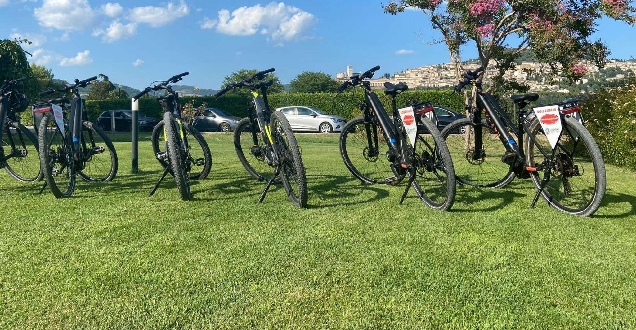 E-bike Citybike Rental - full day - Housity