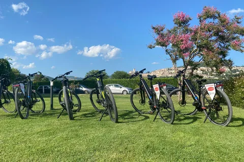 Tour in bicicletta e vino da Assisi a Spello