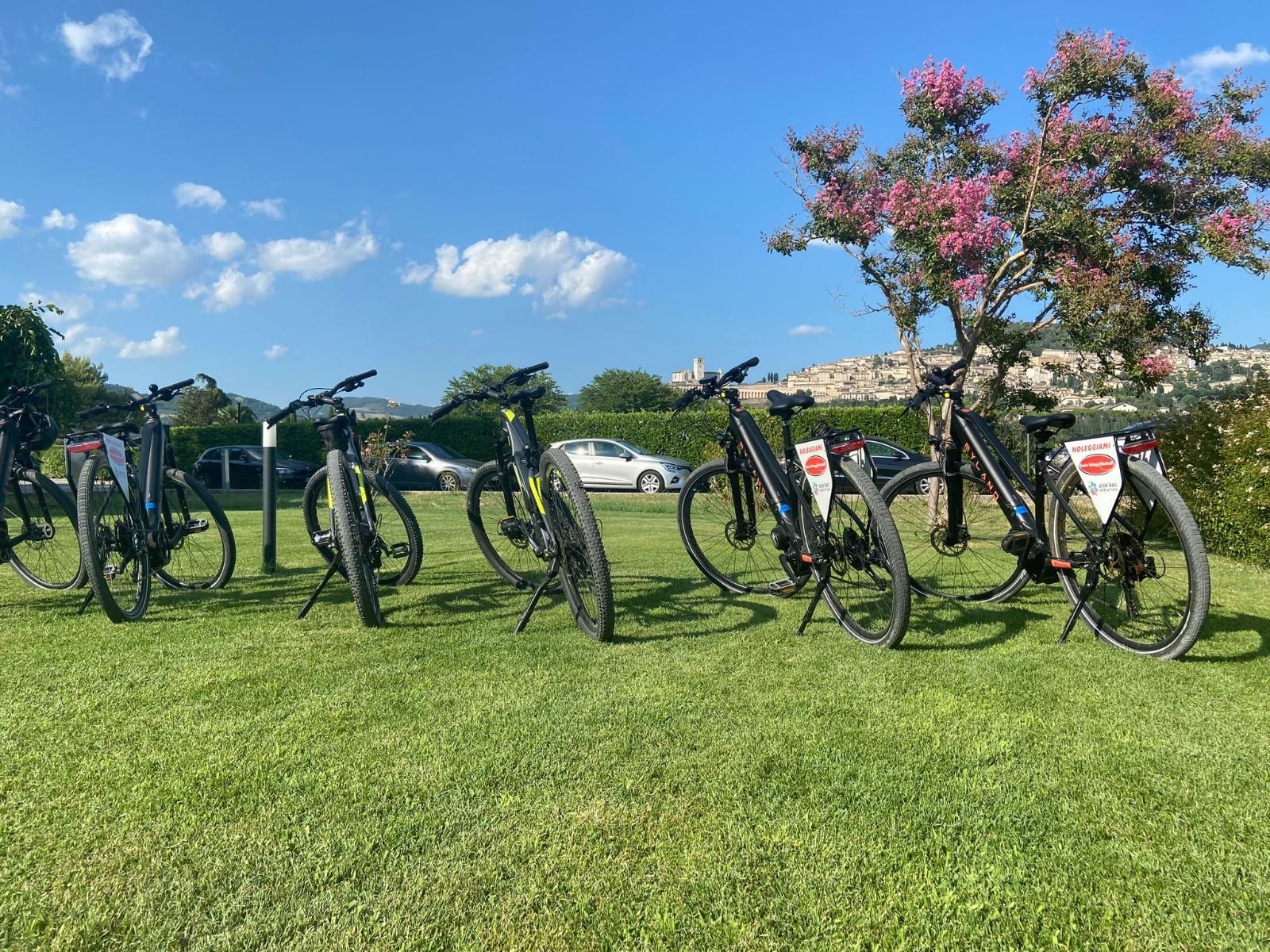Assisi nach Spello Fahrrad & Wein Tour