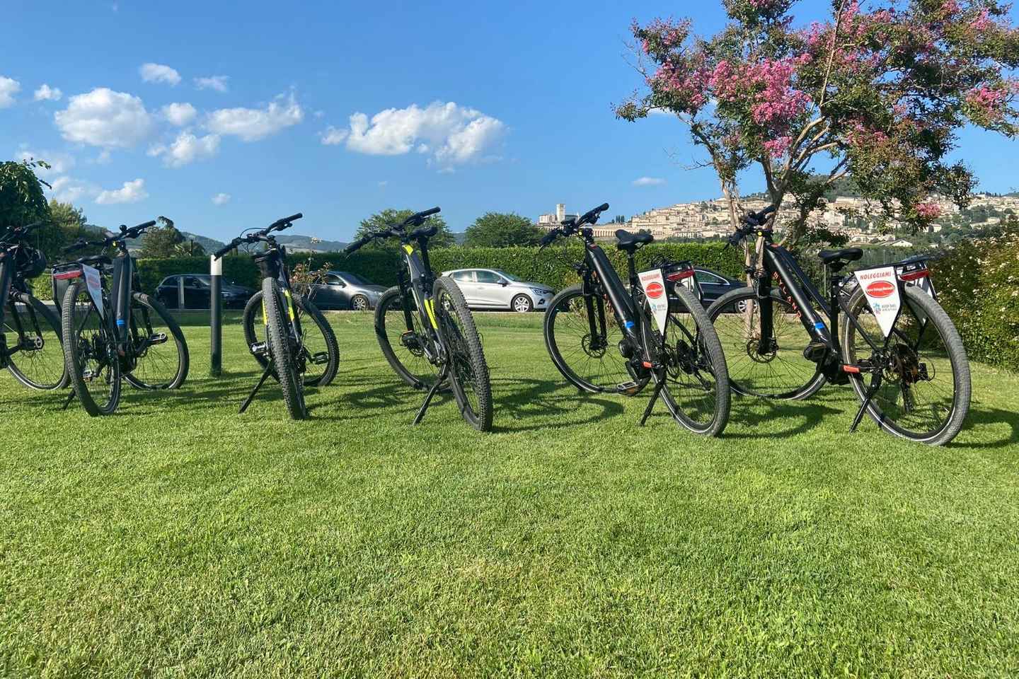 Tour in E-Bike: Sagrantino & ciclabile Assisi-Spoleto