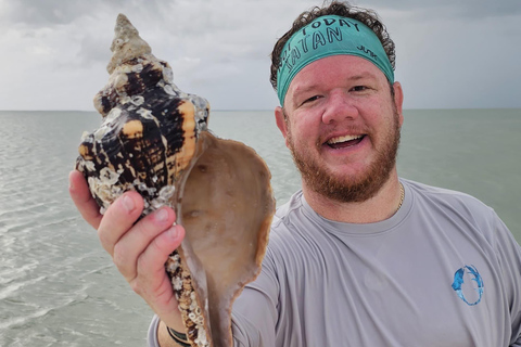 Marco Island: Dolphin, Shelling, Beach & Ten Thousand Island 4 Hour Option
