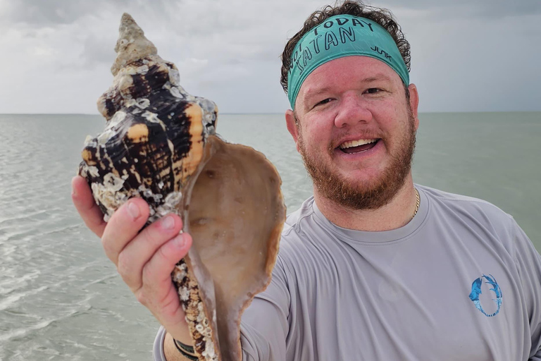 Marco Island: Dolphin, Shelling, Beach & Ten Thousand Island 4 Hour Option