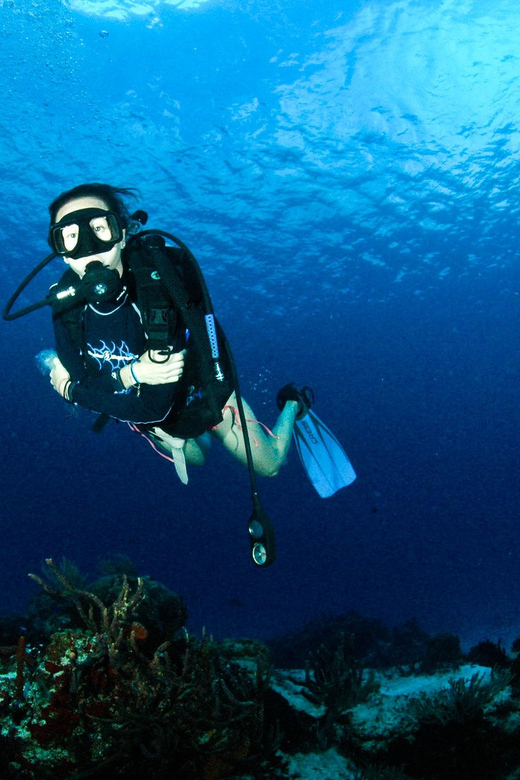 Museo Subacuático Musa : Descubre La Experiencia Del Submarinismo 