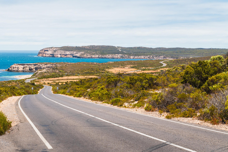 Sydney: Royal National Park tour with picnic RNP Private Tour