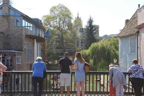 Walking tour of Cambridge, with local guideRundvandring i Cambridge med lokal guide