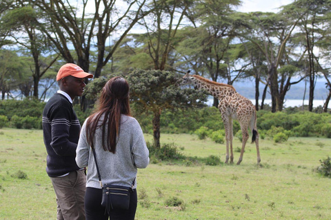 6 Days Great Lakes of Kenya and Masai Mara Safari