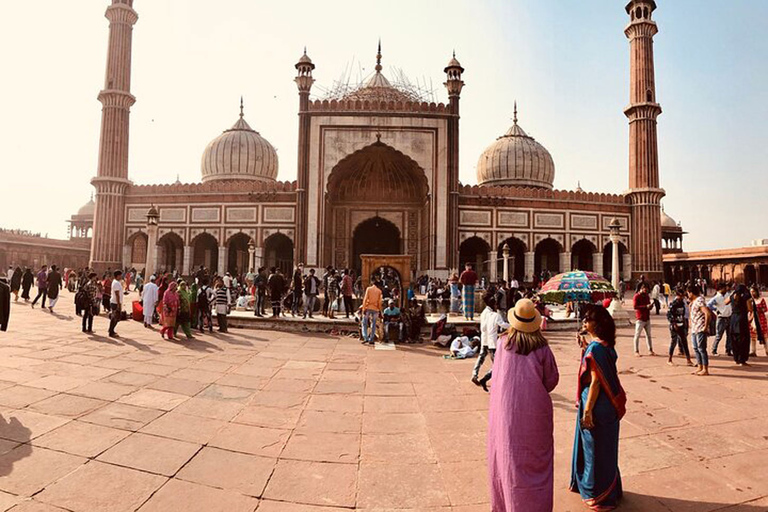 Delhi: Visita Privada de un Día a la Ciudad Vieja y Nueva DelhiTour de día completo por la Vieja y la Nueva Delhi sin entradas