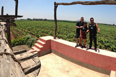 Experiencia de vino, pisco y buggy