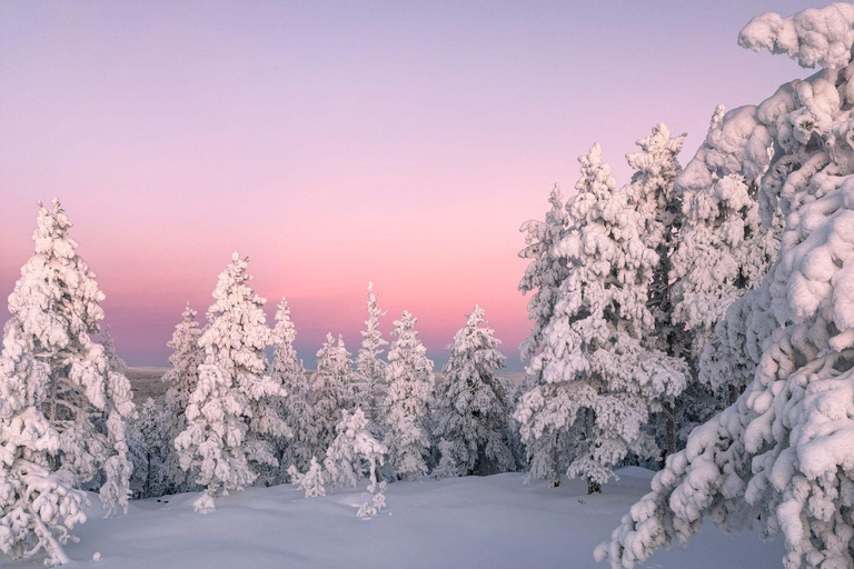 Rovaniemi: Snowmobile Safari & Reindeer Encounter